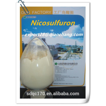 Agroquímico Nicosulfuron Herbicide 95% TC 75% WDG 40g / lSC CAS: 111991-09-4